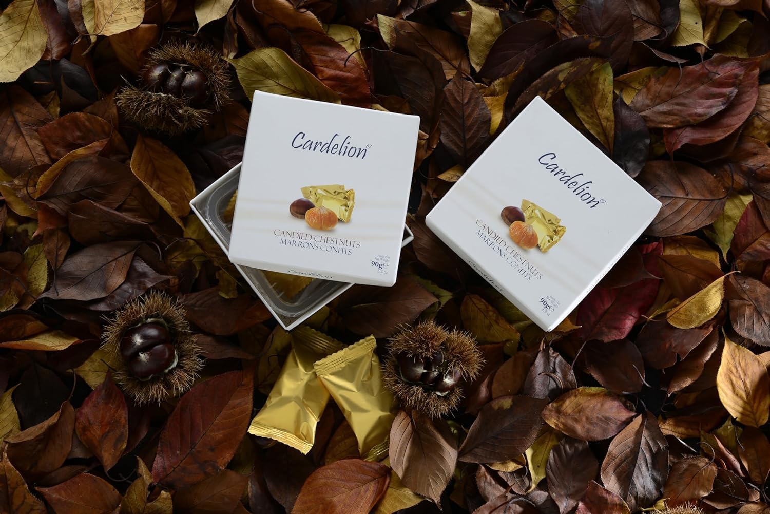 Cardelion Candied Chestnuts