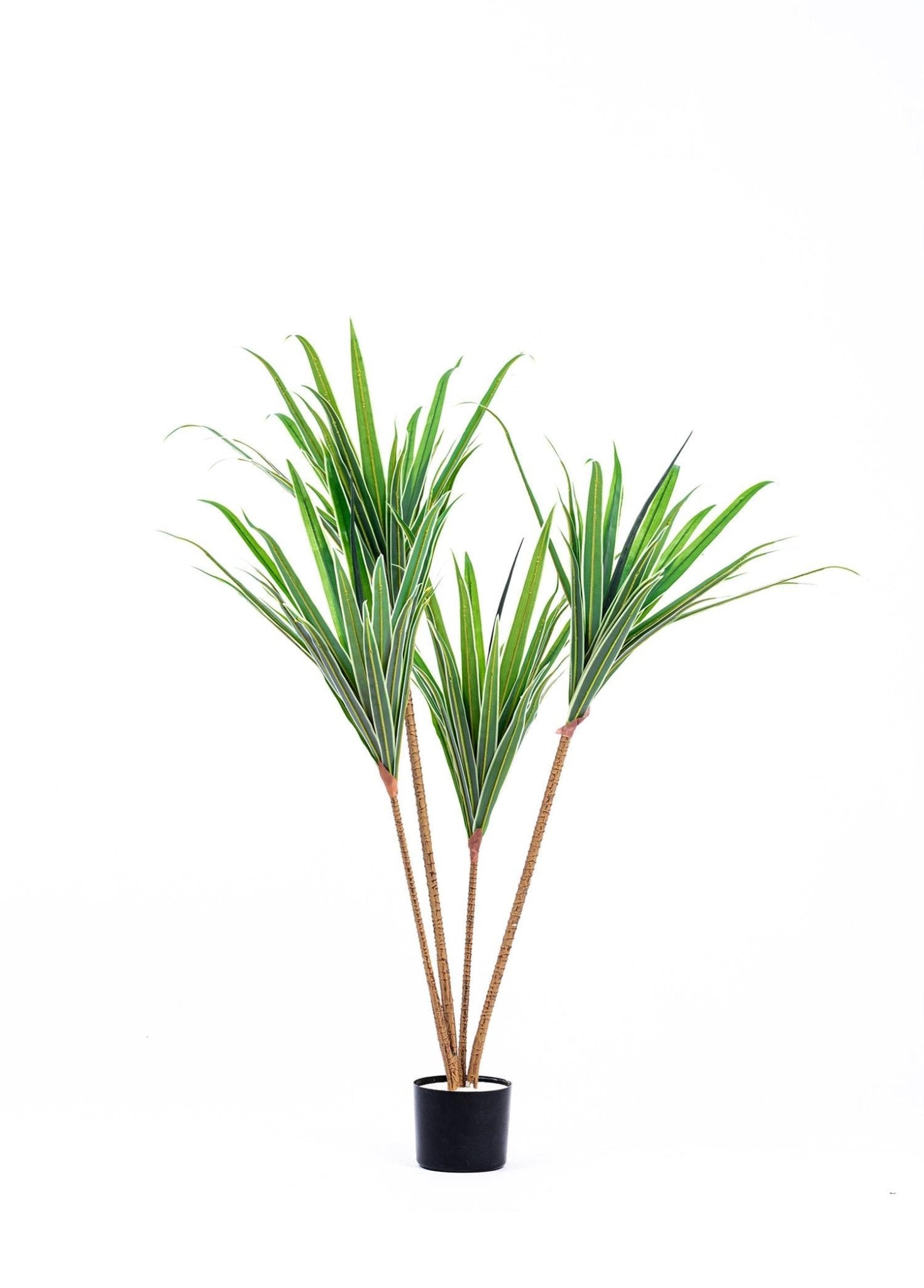 Artificial Dracaena Tree 3 Branches 120 cm - Exporgin | Türkiye Comes to You