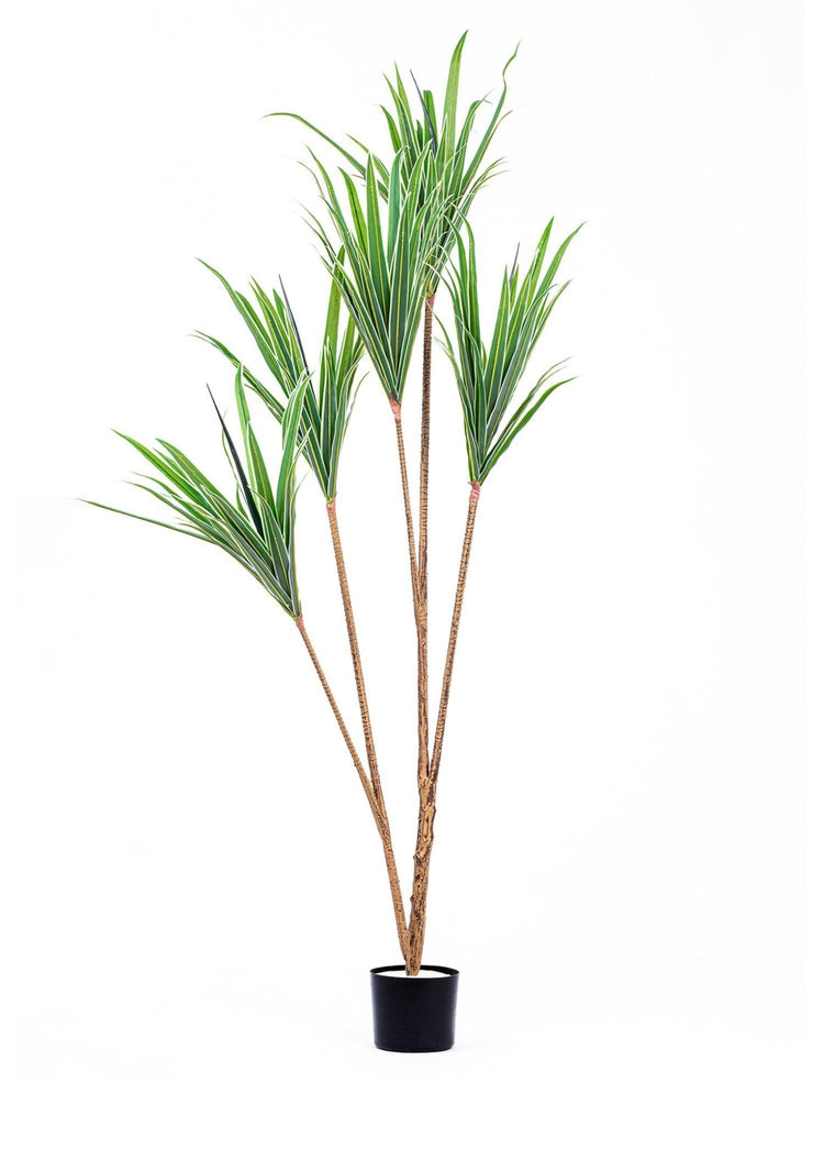 Artificial Dracaena Tree 3 Branches 180 cm - Exporgin | Türkiye Comes to You