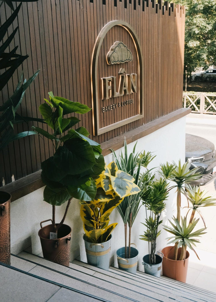 Artificial Ficus Altissima Tree Yellow Green 170 cm - Exporgin | Türkiye Comes to You