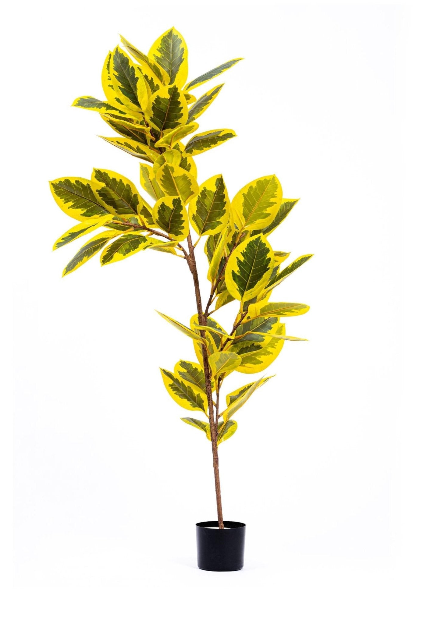 Artificial Ficus Altissima Tree Yellow Green 170 cm - Exporgin | Türkiye Comes to You