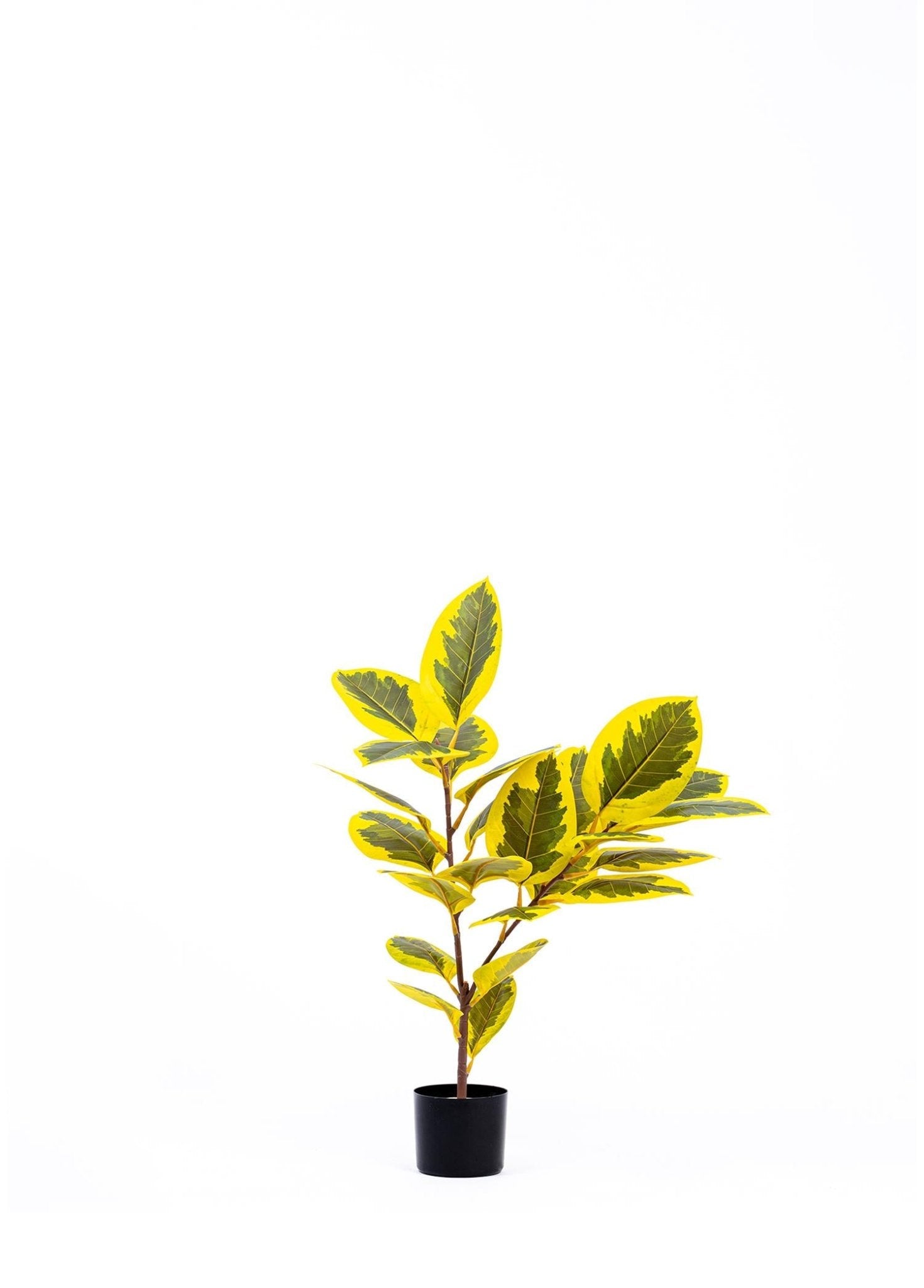 Artificial Ficus Altissima Tree Yellow Green 90 cm - Exporgin | Türkiye Comes to You