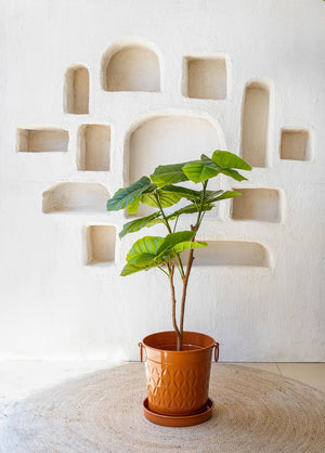 Artificial Ficus Umbellata Tree Green 120 cm - Exporgin | Türkiye Comes to You