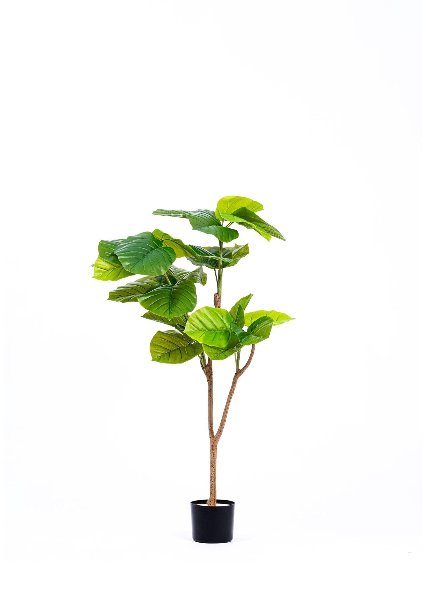 Artificial Ficus Umbellata Tree Green 120 cm - Exporgin | Türkiye Comes to You
