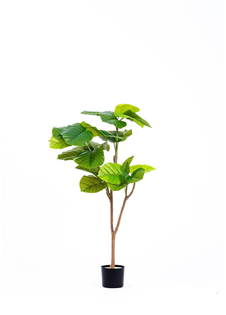 Artificial Ficus Umbellata Tree Green 120 cm - Exporgin | Türkiye Comes to You