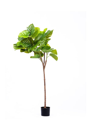 Artificial Ficus Umbellata Tree Green 150 cm - Exporgin | Türkiye Comes to You