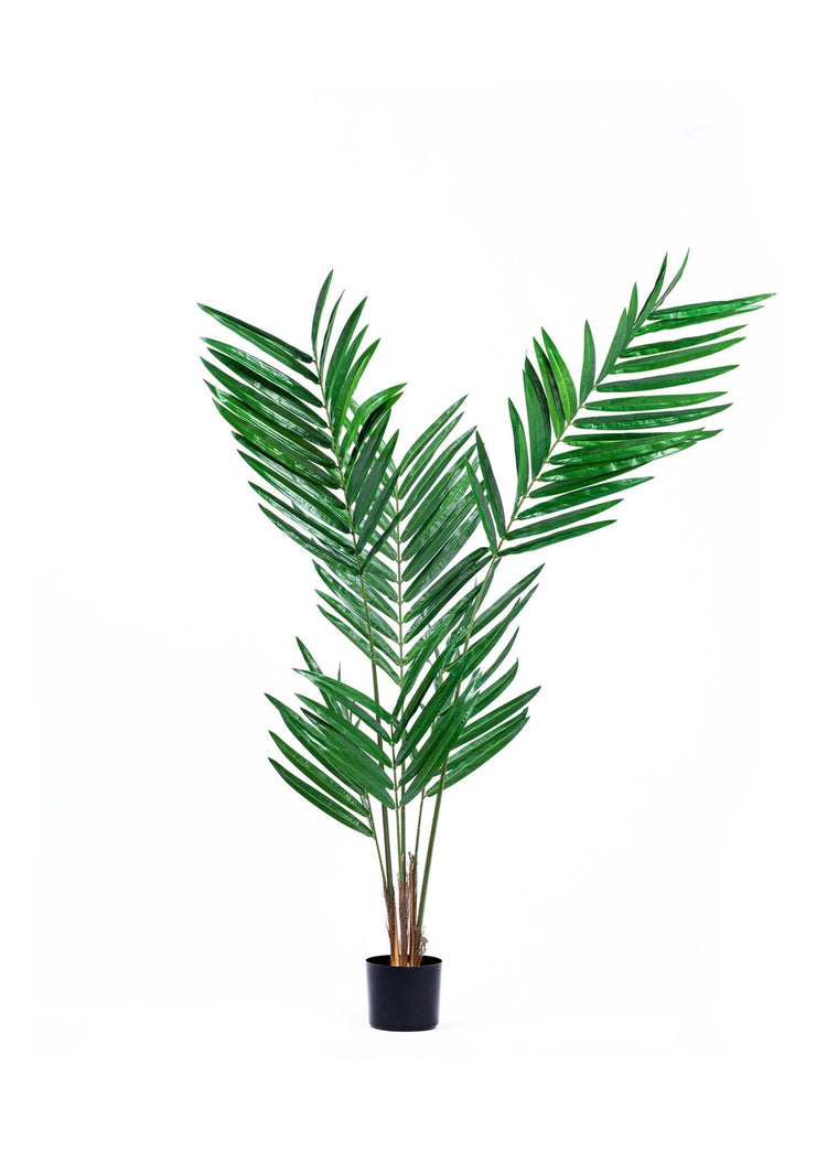 Artificial Kentia Palm Green 180 cm - Exporgin | Türkiye Comes to You