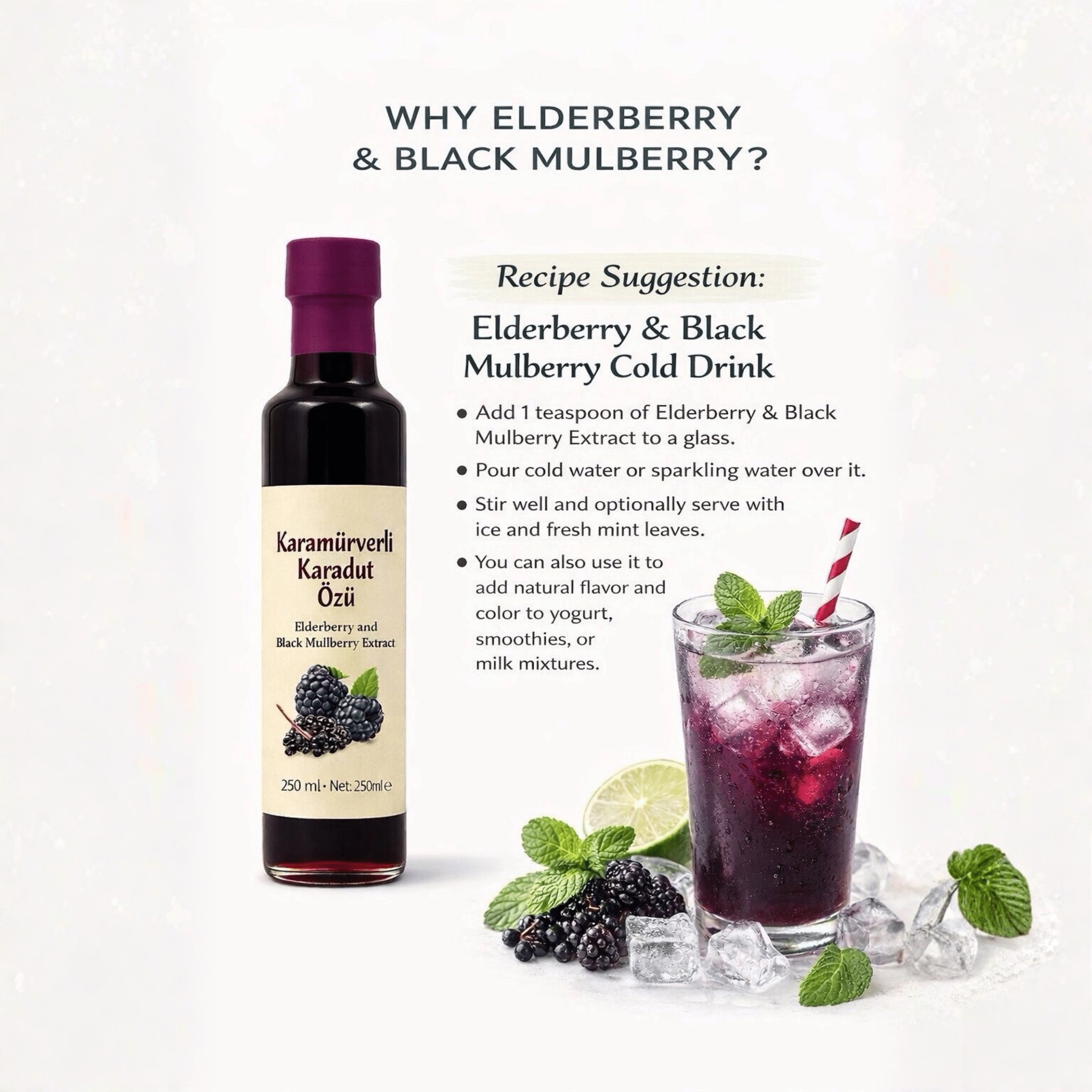 Beyorganik Black Mulberry Extract 250ml (8.45 fl oz) - Exporgin | Türkiye Comes to You