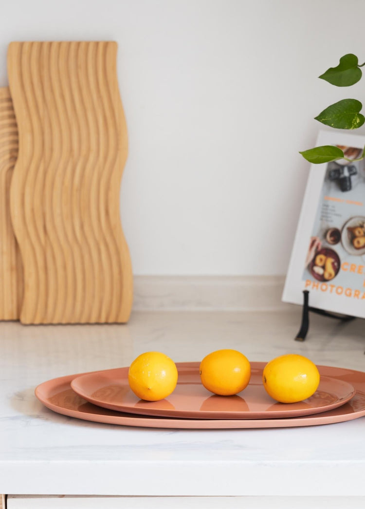 Cotta Limoges Oval Serving Terracota 34x17 cm - Exporgin - Global Shopping Site