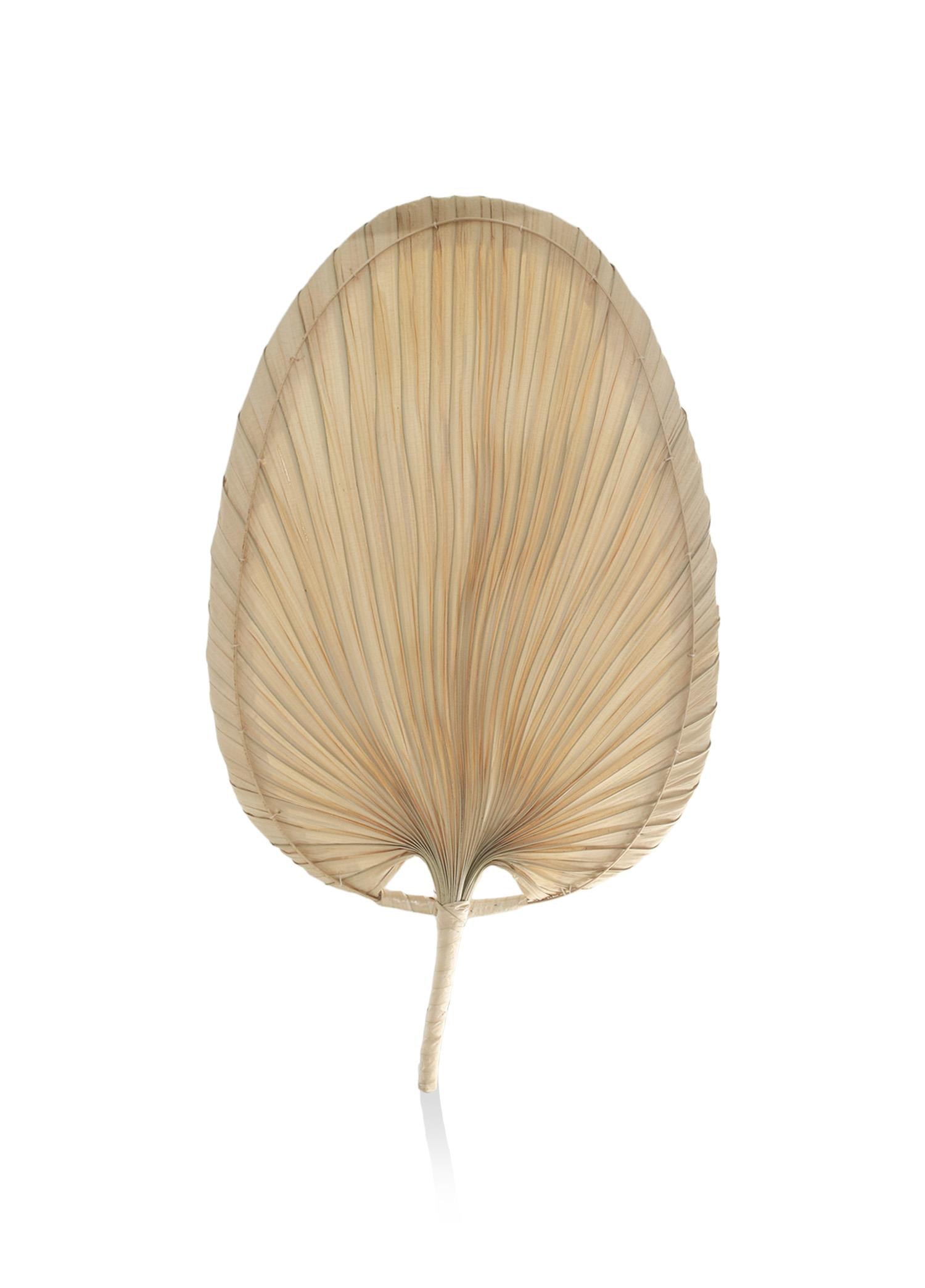 Decorative Palm Leaf 2x28x52 cm