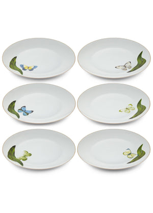 Folium Serving Plate for 6 Persons - Exporgin - Global Shopping Site