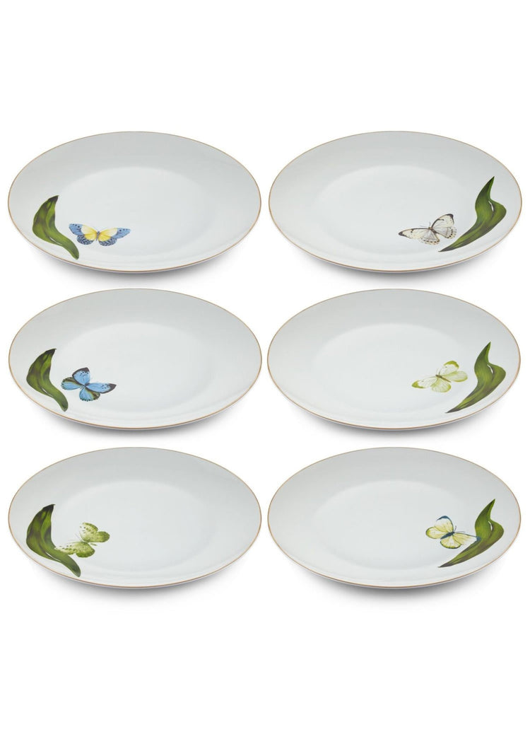Folium Serving Plate for 6 Persons - Exporgin - Global Shopping Site