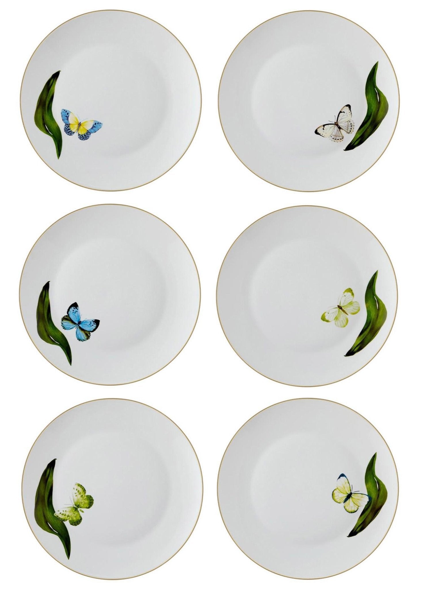 Folium Serving Plate for 6 Persons - Exporgin - Global Shopping Site