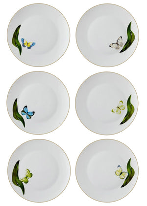 Folium Serving Plate for 6 Persons - Exporgin - Global Shopping Site