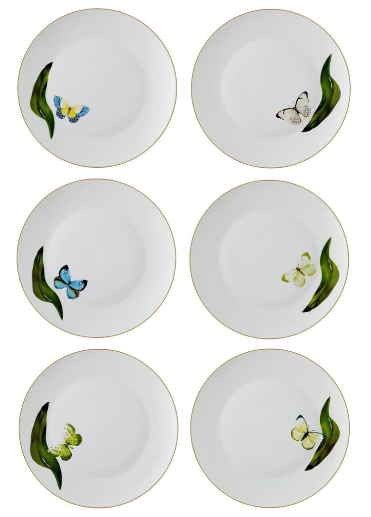 Folium Serving Plate for 6 Persons - Exporgin - Global Shopping Site