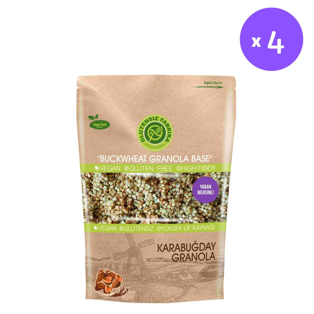 (4 pack) Gluten sans gluten avoine et sarrasin Granola 4 pack x 300 gramme (avec myrtille)