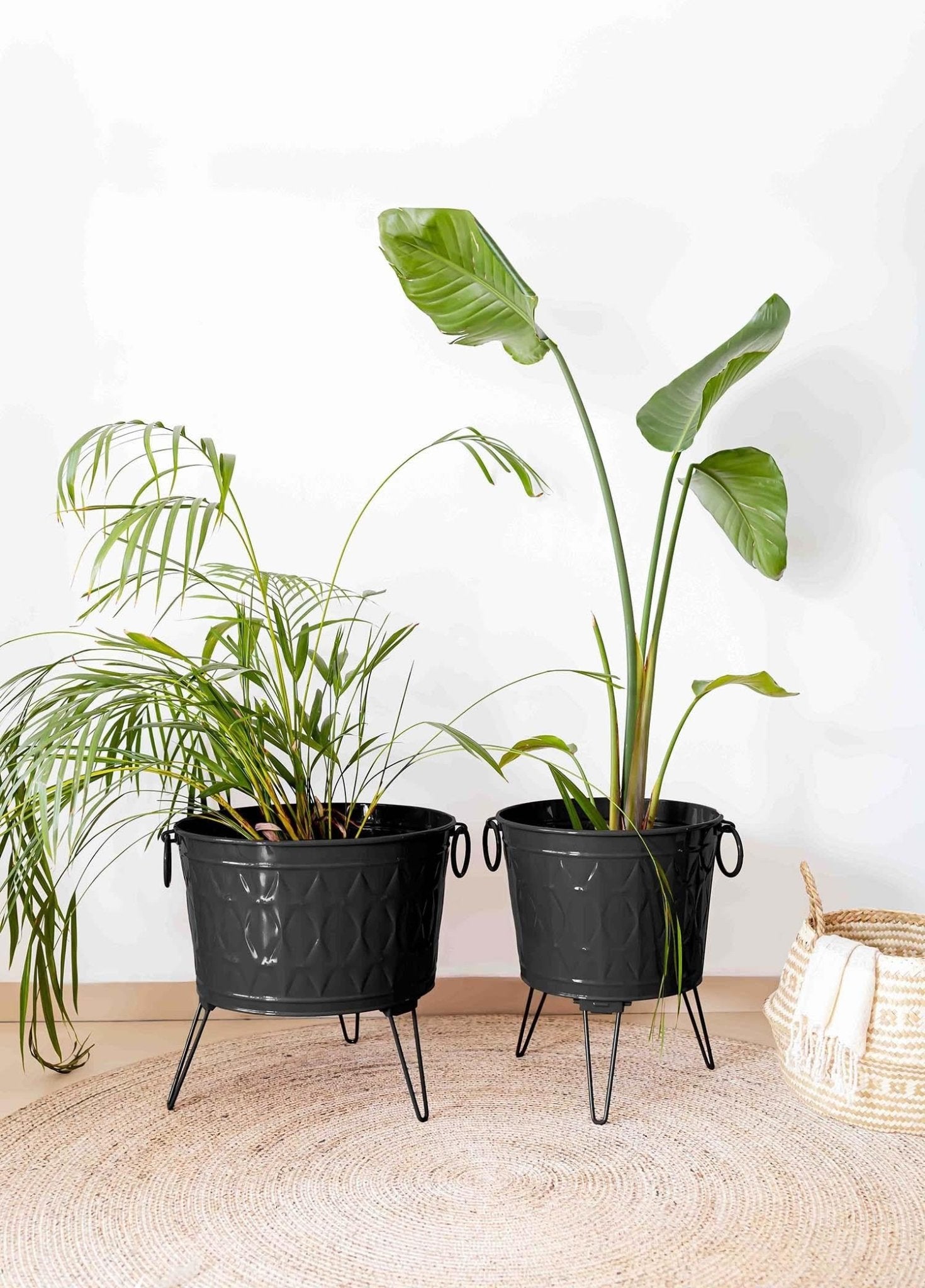 Prism Vase & Flower Pot Black 43x45 cm - Exporgin - Global Shopping Site