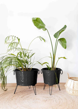Prism Vase & Flower Pot Black 43x45 cm - Exporgin - Global Shopping Site