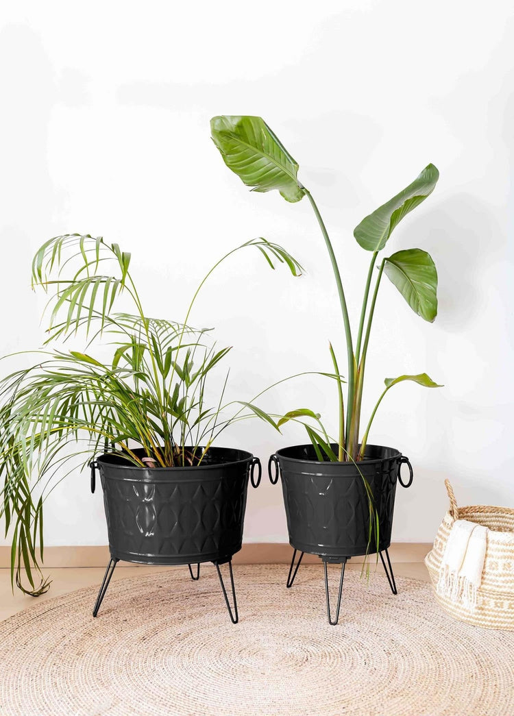 Prism Vase & Flower Pot Black 43x45 cm - Exporgin - Global Shopping Site