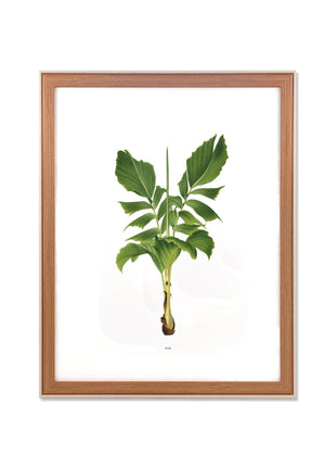 Retrato Photo Frame Cream 40x50 cm - Exporgin - Global Shopping Site