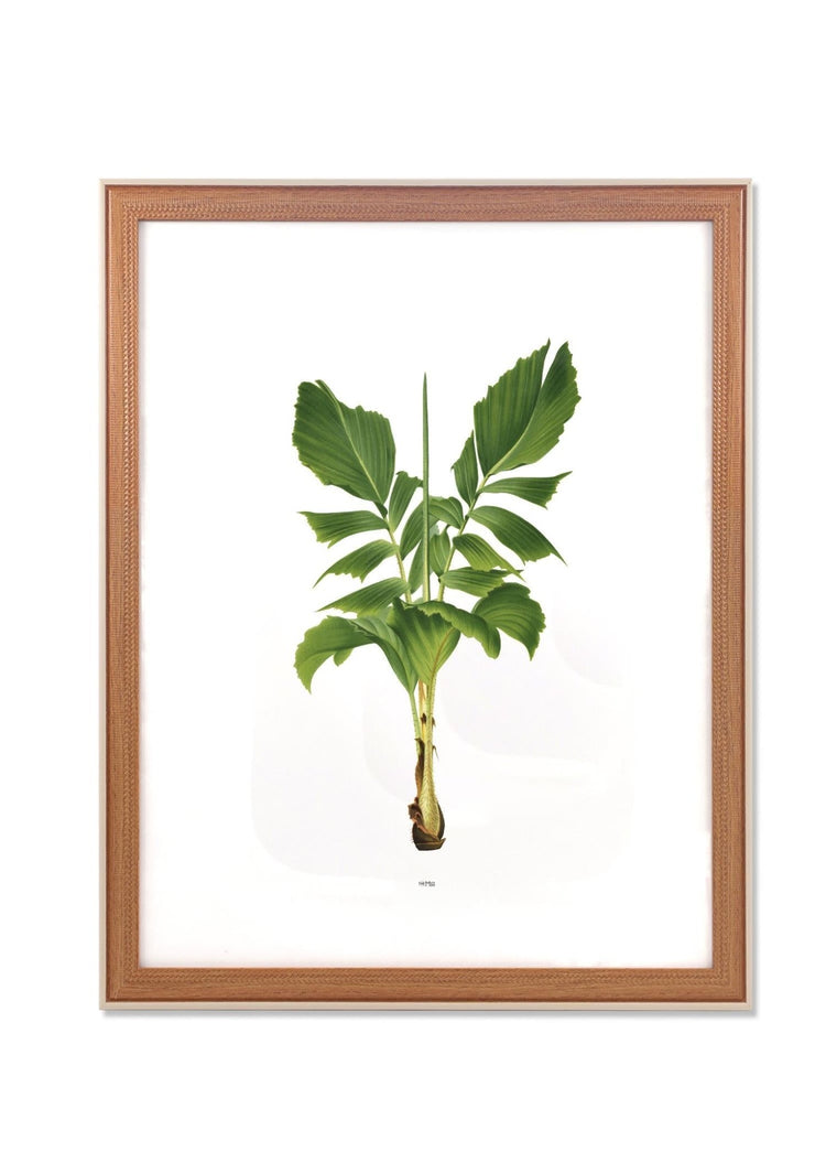 Retrato Photo Frame Cream 40x50 cm - Exporgin - Global Shopping Site