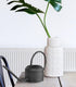 Watering Can 0.90 Lt Black - Exporgin - Global Shopping Site