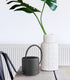 Gießkanne 1,5 L Schwarz SLK0017 - Exporgin - Global Shopping Site