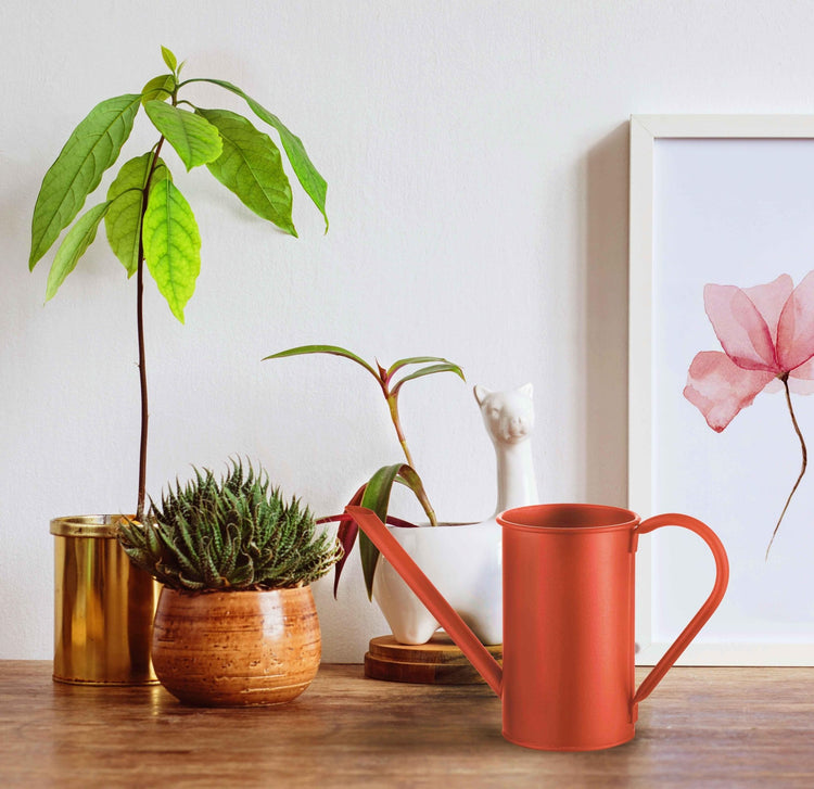 Mia Gießkanne 1,5 l rot – perfekt für die Gartenpflege