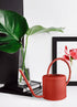 Watering Can 1.5 Lt Red SLK0018 - Exporgin - Global Shopping Site